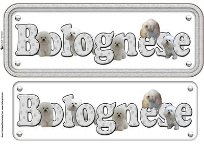 Bolognese Dog Name Sign