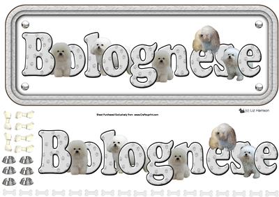 Bolognese Dog Name Sign 3D Decopauge