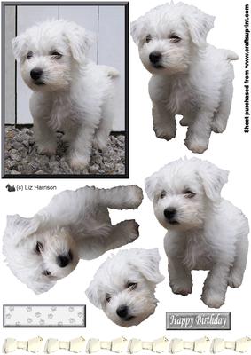 Westie Puppy 3D Decoupage