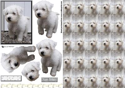 Westie Puppy 3D Decoupage with Background