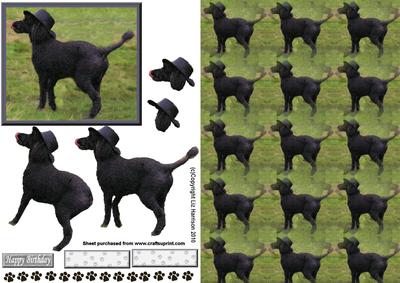 Poodle in Hat 3D Decoupage with Background