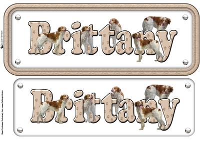 Brittany Name Sign