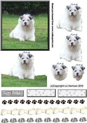 Jack Russell Long Haired Terrier 3D Decoupage