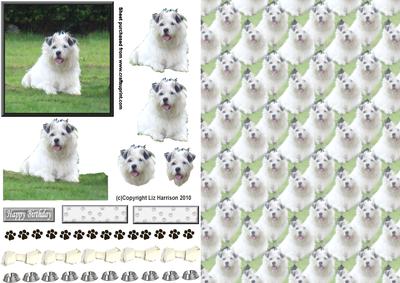 Jack Russell Long Haired Terrier 3D Decoupage & Background