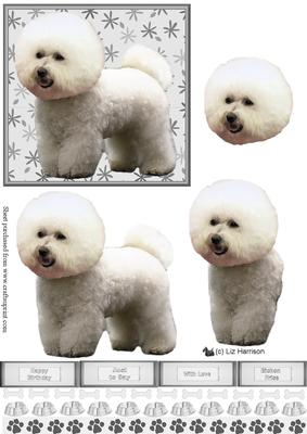 Bichon Frise 3D Decoupage