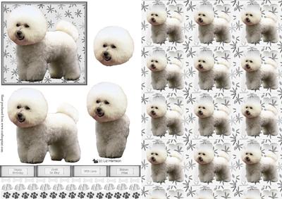 Bichon Frise 3D Decoupage with Background