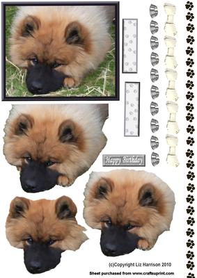 Keeshond 3D Decoupage