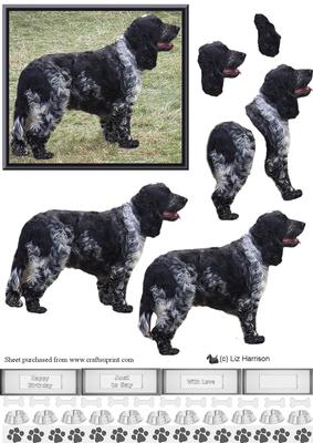 Blue Roan Cocker Spaniel 3D Decoupage
