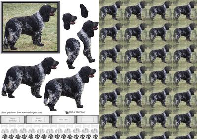 Blue Roan Cocker Spaniel 3D Decoupage with Background