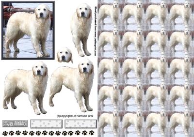 Golden Retriever 3D Decoupage with Background