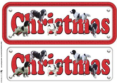 Springer Spaniel ,black & White Christmas Name Sign