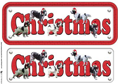 Springer Spaniel ,black & White Christmas Name Sign & Hats