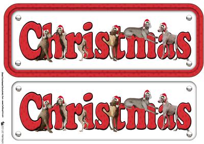 Weimaraners & Hats Christmas Name Sign