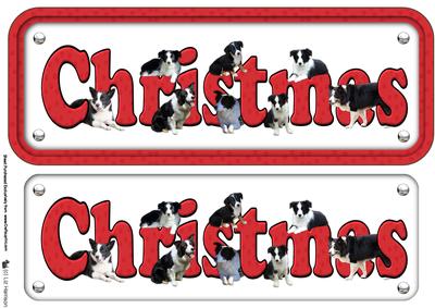 Border Collie Christmas Name Sign