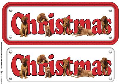 Dogue De Bordeaux Christmas Name Sign