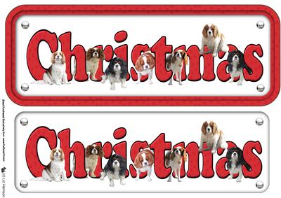 Cavalier Christmas Name Sign