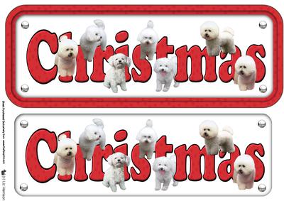 Bichon Frise Christmas Name Sign