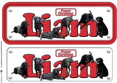 Liam & Labradors Christmas Name Sign