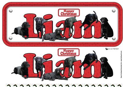Liam & Labradors Christmas Name Sign 3D Decoupage