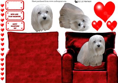 Maltese Valentine Chair 3D Decoupage