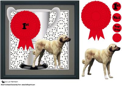 Anatolian Shepherd Trophy & Rosette 8x8 Card