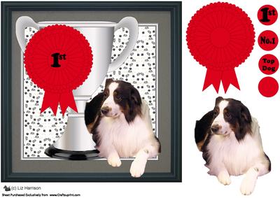 Australain Shepherd Trophy & Rosette 8x8 Card