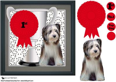 Bearded Collie Trophy & Rosette 8x8 Card