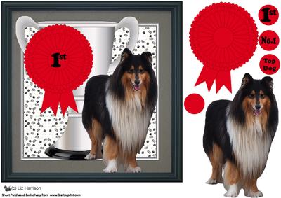 Rough Collie Trophy & Rosette 8x8 Card