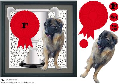 Estrela Mountain Dog Trophy & Rosette 8x8 Card