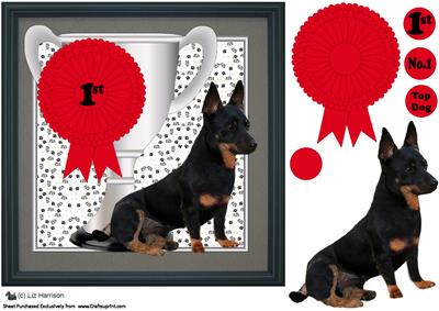 Lancashire Heeler Trophy & Rosette 8x8 Card