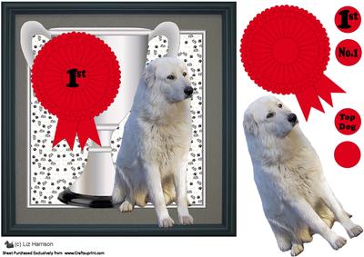 Maremma Sheepdog Trophy & Rosette 8x8 Card