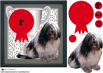 Polish Lowland Sheepdog Trophy & Rosette 8x8 Card
