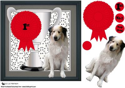 Pyranean Mountain Dog Trophy & Rosette 8x8 Card