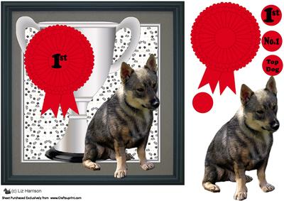 Swedish Vallhund Trophy & Rosette 8x8 Card