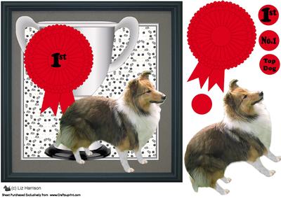 Shetland Sheepdog Trophy & Rosette 8x8 Card