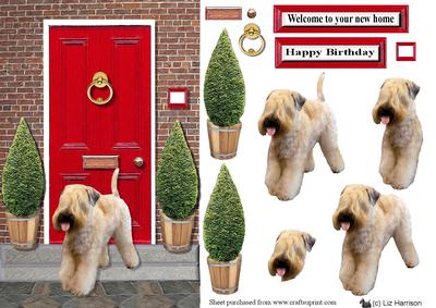 Soft Coated Wheaten Terrier with a Red Door