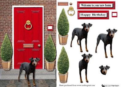 Manchester Terrier with a Red Door