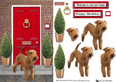 Lakeland Terrier with a Red Door