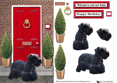 Cesky Terrier with a Red Door
