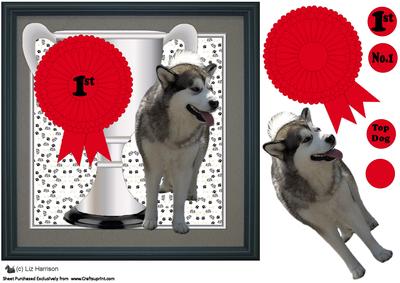 Alaskan Malamute Trophy & Rosette 8x8 Card