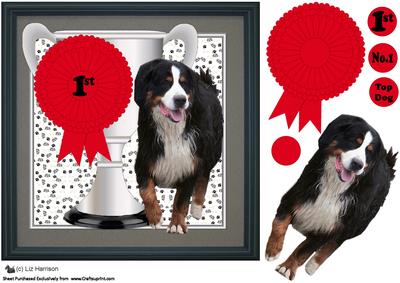 Bernese Mountain Dog Trophy & Rosette 8x8 Card