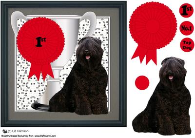 Bouvier Des Flandres Trophy & Rosette 8x8 Card