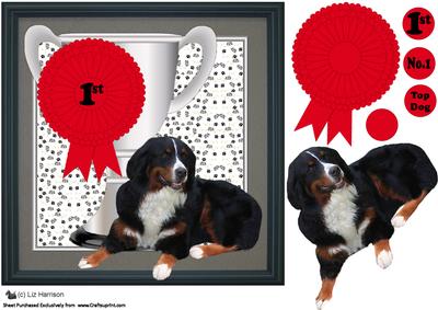Bernese Mountain Dog Trophy & Rosette 8x8 Card