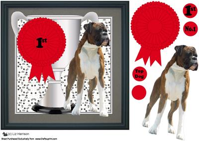 Boxer Dog Trophy & Rosette 8x8 Card