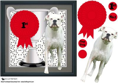 Boxer Dog Trophy & Rosette 8x8 Card