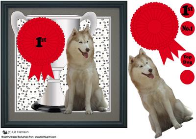 Canadian Eskimo Dog Trophy & Rosette 8x8 Card