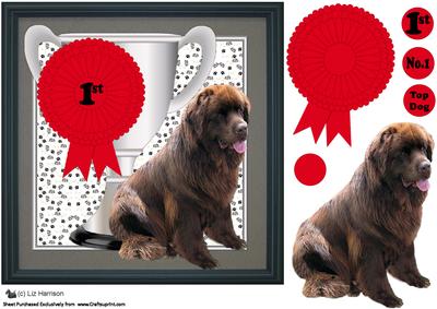 Newfoundland Trophy & Rosette 8x8 Card