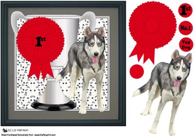 Siberian Husky Trophy & Rosette 8x8 Card