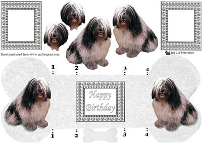 Polish Lowland Sheepdog Bone Shaped Card