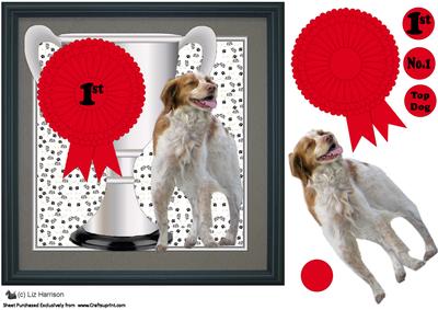 Brittany Trophy & Rosette 8x8 Card
